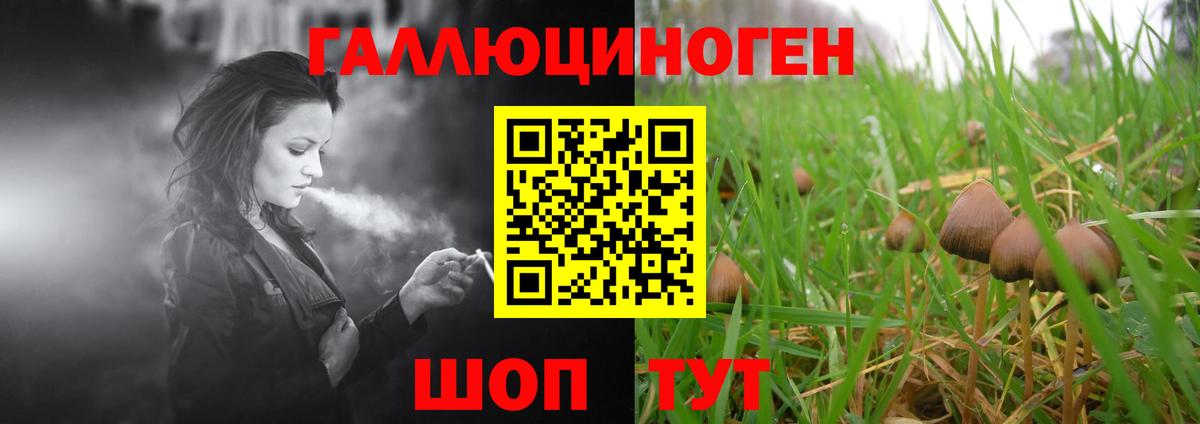 Псилоцибиновые грибы MAGIC MUSHROOMS Сальск